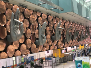 Arrival in Delhi airport